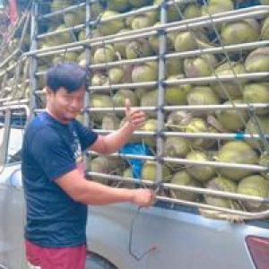 ท็อป มะพร้าวนำหหอม ไม่ชิ่ง วิ่งสู้ฟัด profile icon