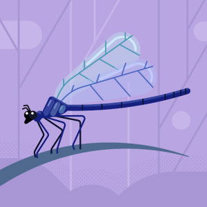 Nuraisha Rofie profile icon