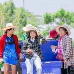 ใบ เฟิร์นน profile icon