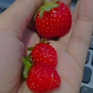 Siti Komariyah profile icon