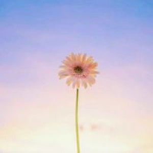 Wahyu Winarsih profile icon