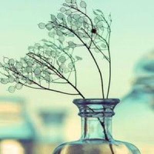 mamaNora aura profile icon