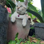 Titin Sudaryani profile icon