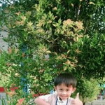 Muni Firdhan profile icon