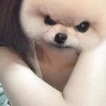 Ju Nior profile icon