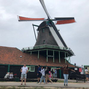 Pavithra Sandran profile icon