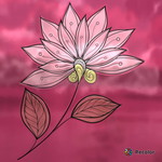 Umm Aisya profile icon