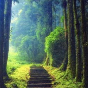 Masitah Azid profile icon