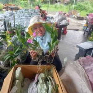 Nur Hafizah Kz profile icon