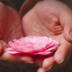 Rini Lidiawati (Rini) profile icon