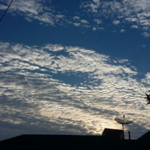 Ai Rani profile icon