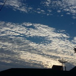 Ai Rani profile icon