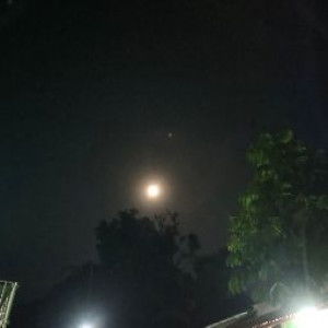 - Chasan profile icon