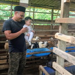 Nurtahdhilla Zainol profile icon