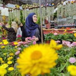 Mira Schaa profile icon