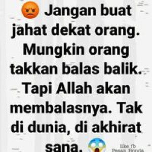 ArisAnis AleeSof profile icon