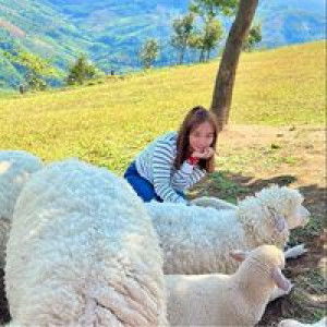 Parnn Apinya Parn profile icon