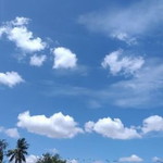 Desi Rekayani profile icon