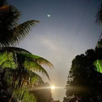 Sharifah Thahirah profile icon