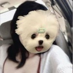 เวฟ'ว ซี่'ซ profile icon