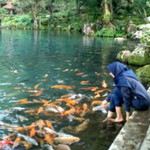 Dina Aprillia profile icon