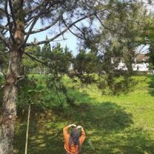 Mitha Amellia Agustya profile icon