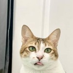 Naramay Stories profile icon