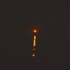 Rifa Rosyidaaa profile icon