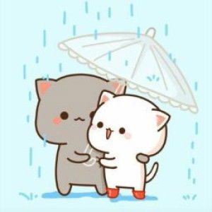 Mifrohah profile icon