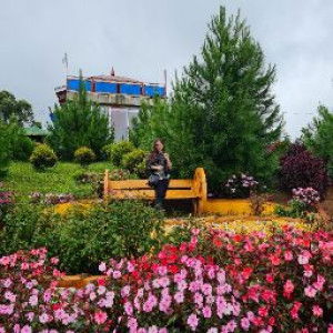 Jessa Marlude Alba profile icon