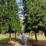 Fatin Afifah profile icon