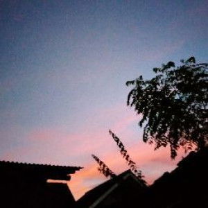 Umi Kalsum profile icon