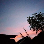 Umi Kalsum profile icon