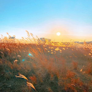 Cynthia Krisda profile icon