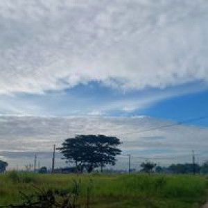 Astri Utami profile icon