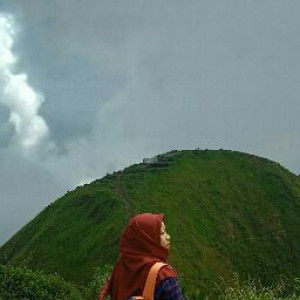 Dian Ayu Prima Sari profile icon