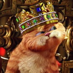 SENJA YULIAN profile icon