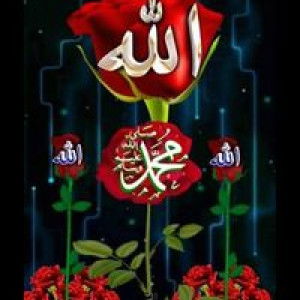 Arfan Sinta profile icon