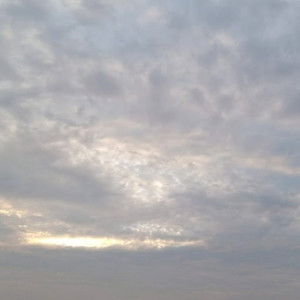 Assa Melinda profile icon