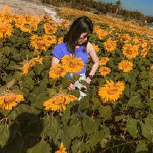 กวาง profile icon