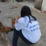 บารา บีมม profile icon