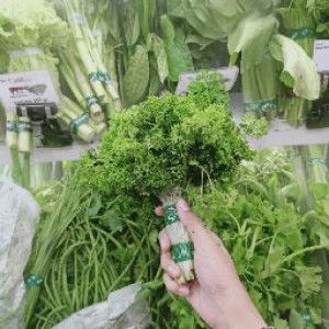 Dessy Novita profile icon