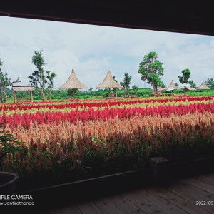 ความลับ.. profile icon