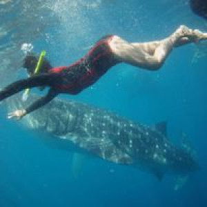 Gwen Solano profile icon