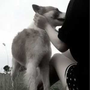 Yo Gurt profile icon