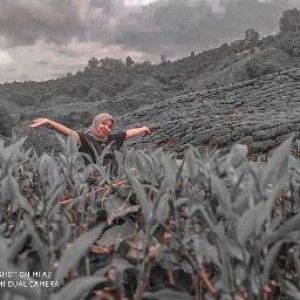 Norfadzila Zylla profile icon