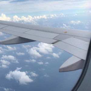 fara salmi profile icon