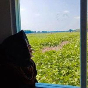 Yeni Setyaningsih profile icon