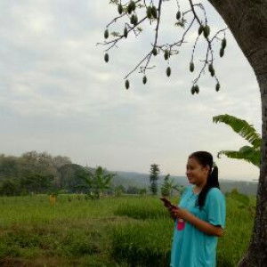 Dewi Amir profile icon