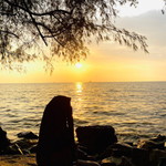 Qurratu Aini Shamsuri profile icon